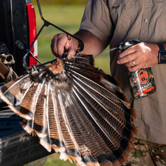 How to Preserve a Turkey Fan (Step-by-Step Guide)