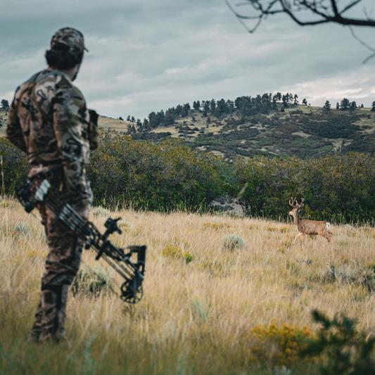 early-season deer hunting in the field