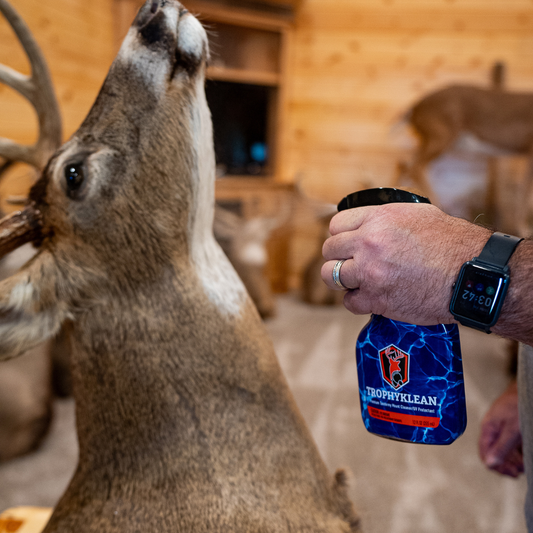 How to Clean Deer Mounts (The Right Way)