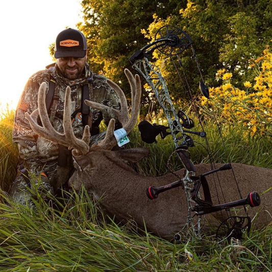 How to Preserve Velvet Antlers: A Complete Step-by-Step Guide
