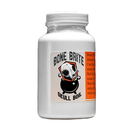 Bonebrite_Bone_Boil_Euro_Mount_Pre_Treat