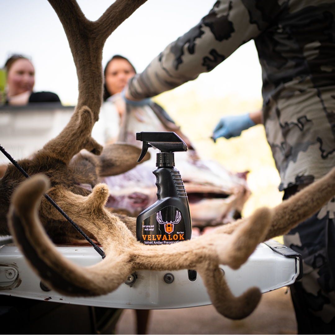 VelvaLok - Velvet Antler Preservative