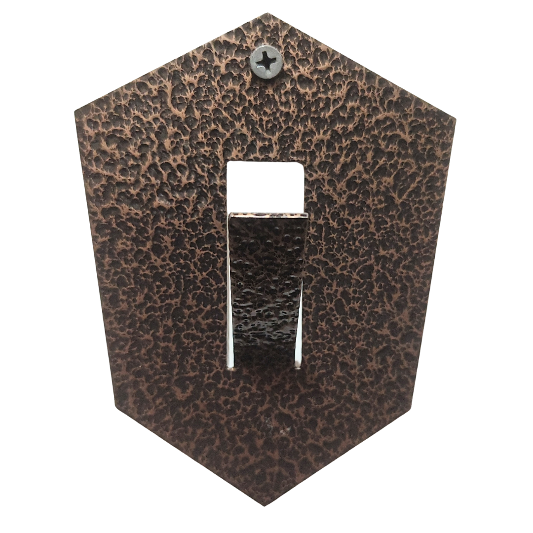 BoneBrite Whitening/Degreaser Kit including skull hanger