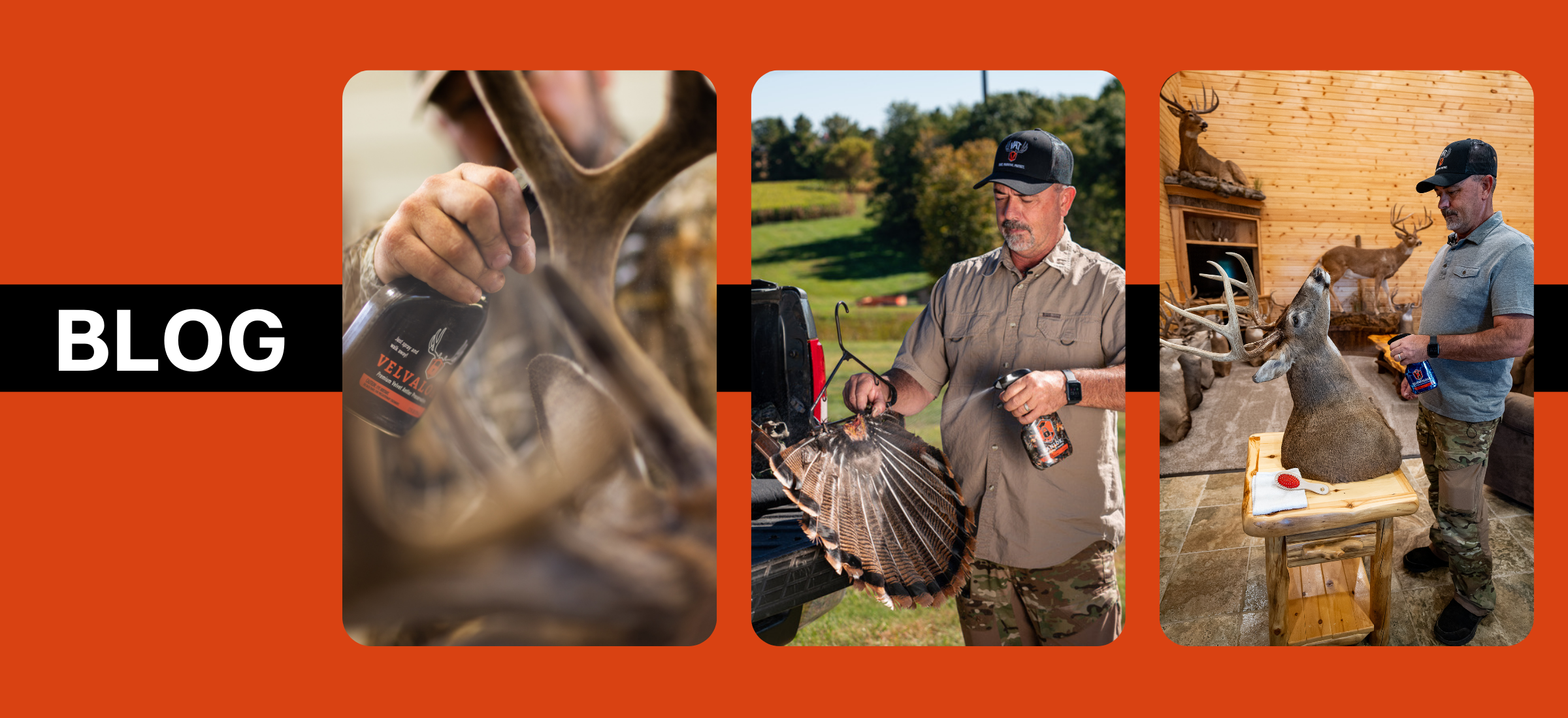 hunting taxidermy blog