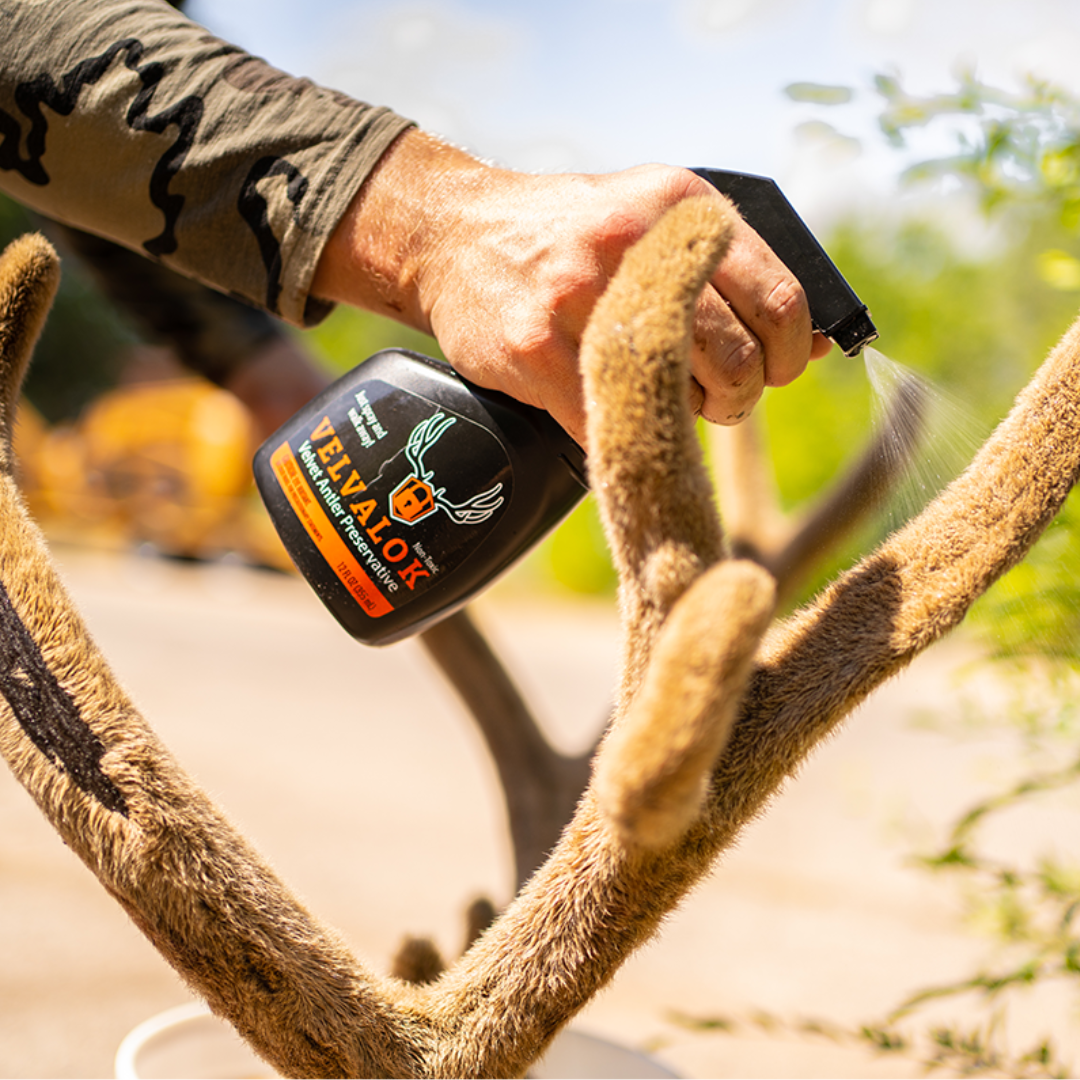 VelvaLok - Velvet Antler Preservative
