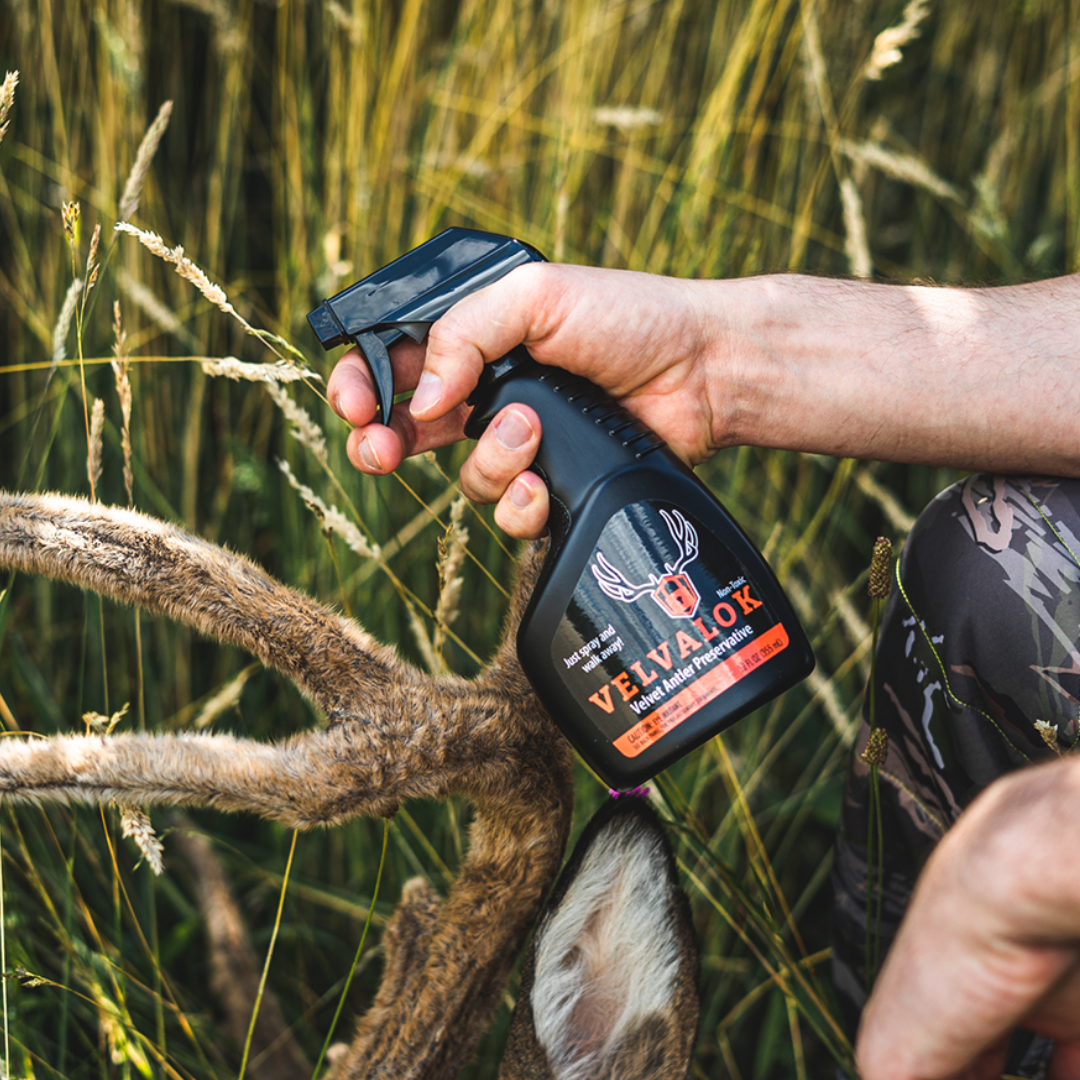 VelvaLok - Velvet Antler Preservative